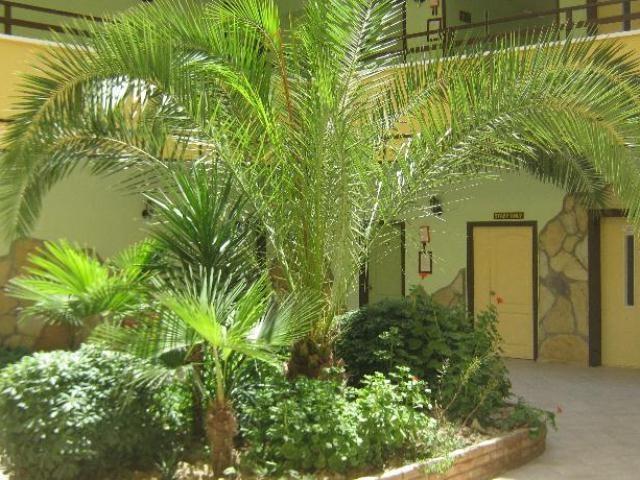 Oya Apartments Kusadası Zewnętrze zdjęcie